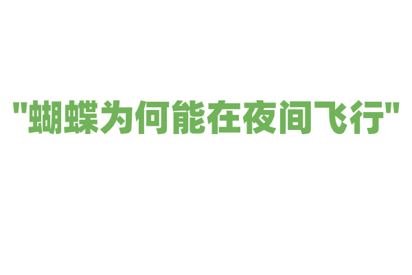 "蝴蝶为何能在夜间飞行"